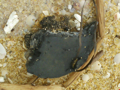 10 km bờ biển ngổn ngang vỏ chai nhãn Trung Quốc - 3