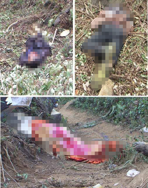 Thảm án ở Điện Biên: Giết 3 người một nhà rồi tự tử - 1