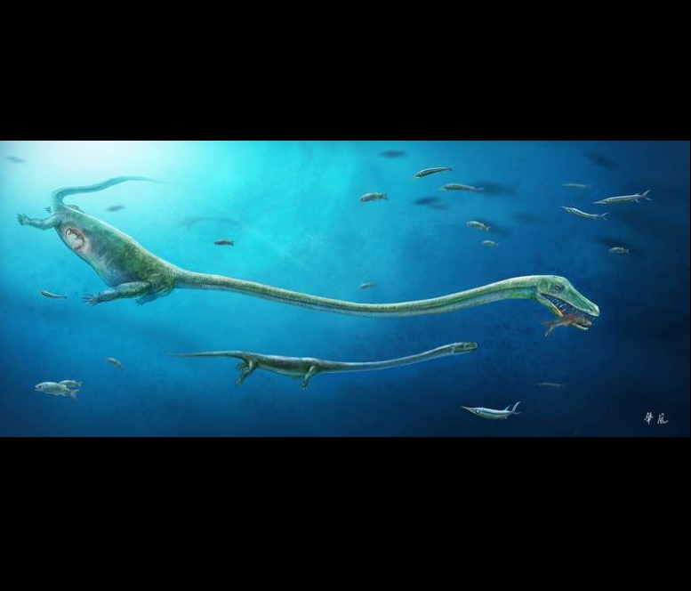TQ: Tìm ra hóa thạch quái vật biển sống trước khủng long - 1