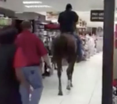 Phi ngựa vào siêu thị, đi lại dọc ngang để mua sắm - 1
