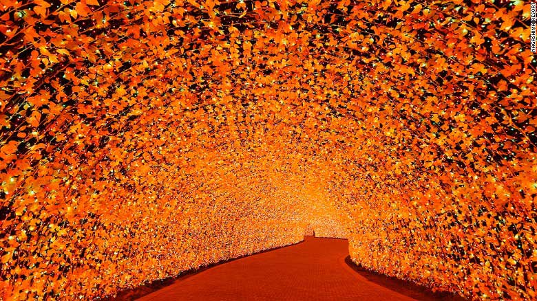 Choáng ngợp trước vẻ huyền ảo của lễ hội ánh sáng ở Nhật - 5