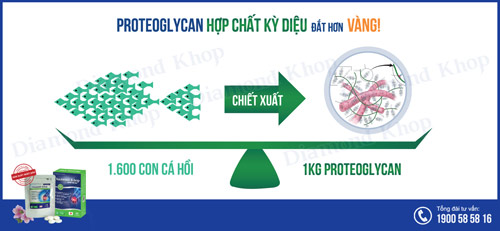 Proteoglycan – Hợp chất kỳ diệu cho thoái hóa khớp từ Nhật Bản - 1