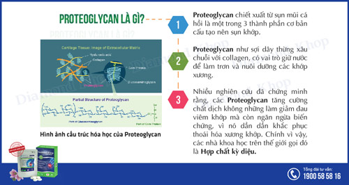 Proteoglycan – Hợp chất kỳ diệu cho thoái hóa khớp từ Nhật Bản - 2