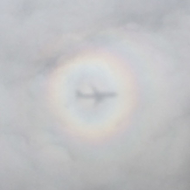 Cầu vồng bao quanh bóng của chiếc máy bay đang di chuyển tới Alaska.