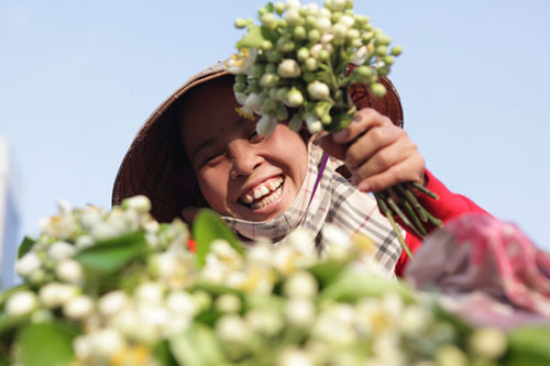 Chùm ảnh: Mùa hoa bưởi dịu dàng xuống phố - 4