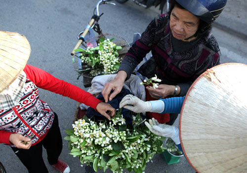 Chùm ảnh: Mùa hoa bưởi dịu dàng xuống phố - 8