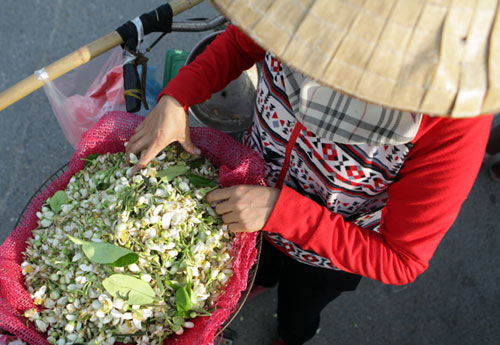 Chùm ảnh: Mùa hoa bưởi dịu dàng xuống phố - 11