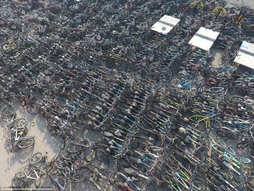 “Nghĩa địa xe đạp&#34; ở Trung Quốc - 1