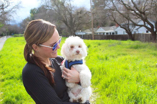 Nuôi một chú chó rất tốt cho sức khỏe của bạn - 5