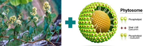 Viêm xung huyết hang vị, dạ dày tái phát vì bỏ qua cách này - 3