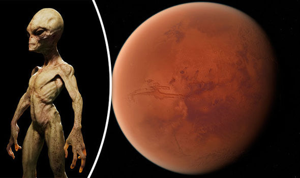 Con người trên Trái đất có nguồn gốc từ sao Hỏa? - 1