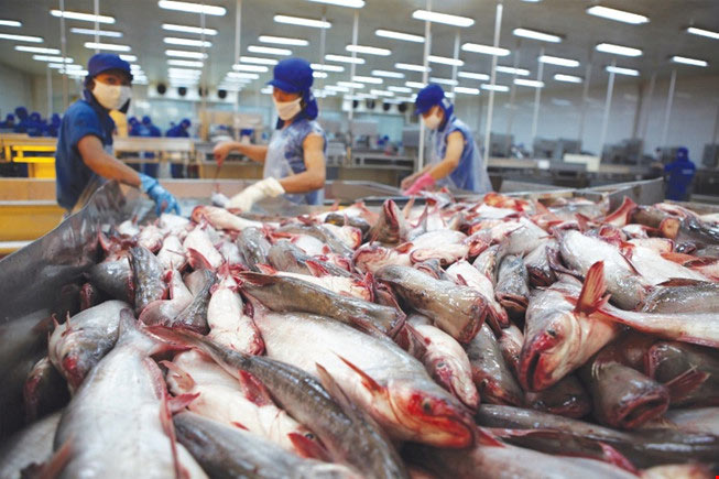 Tập đoàn bán lẻ lớn nhất châu Âu nói gì về cá tra Việt? - 1