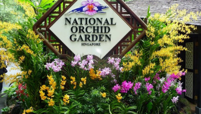 Vườn Lan Quốc gia nằm trong Vườn bách thảo Singapore được mở cửa từ tháng 10.1995.