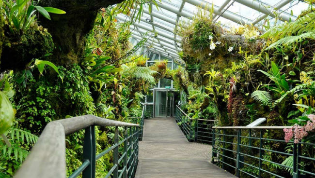 Vườn Lan Quốc gia có hơn 60.000 cây và một nhà kính để trưng bày những loại lan và thực vật từ vùng lạnh hơn.