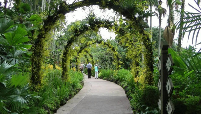 Với diện tích rộng 3ha, khu vườn này bao gồm nhiều loài hoa lan rực rõ được trồng dọc các lối đi bộ.