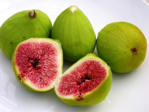 Bất ngờ với tác dụng tán sỏi của các loại thảo dược - 1