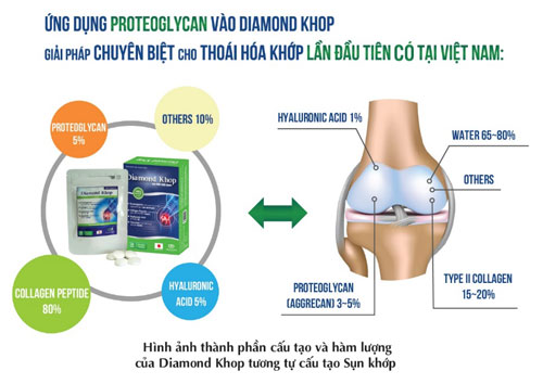 Thực hư công dụng thần kỳ Glucosamine với  thoái hóa khớp - 2