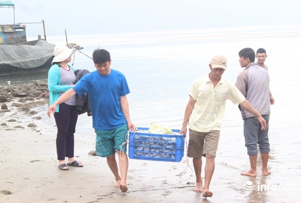 Ngư dân Vũng Áng trúng đậm “lộc biển” - 2