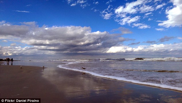 Hãi hùng cảnh “hung thần đại dương” bị cắn đứt làm đôi - 2