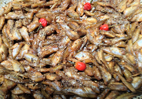 Nhớ lắm cá lòng tong kho tiêu - 2