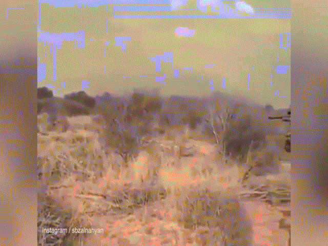 Phó thủ tướng Ả Rập đăng video săn sư tử đực hung hãn