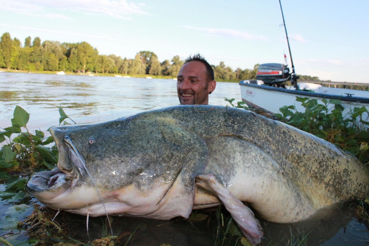 Bắt được cá đuối “quái vật” dài 2m, nặng 240kg ở Thái Lan - 2