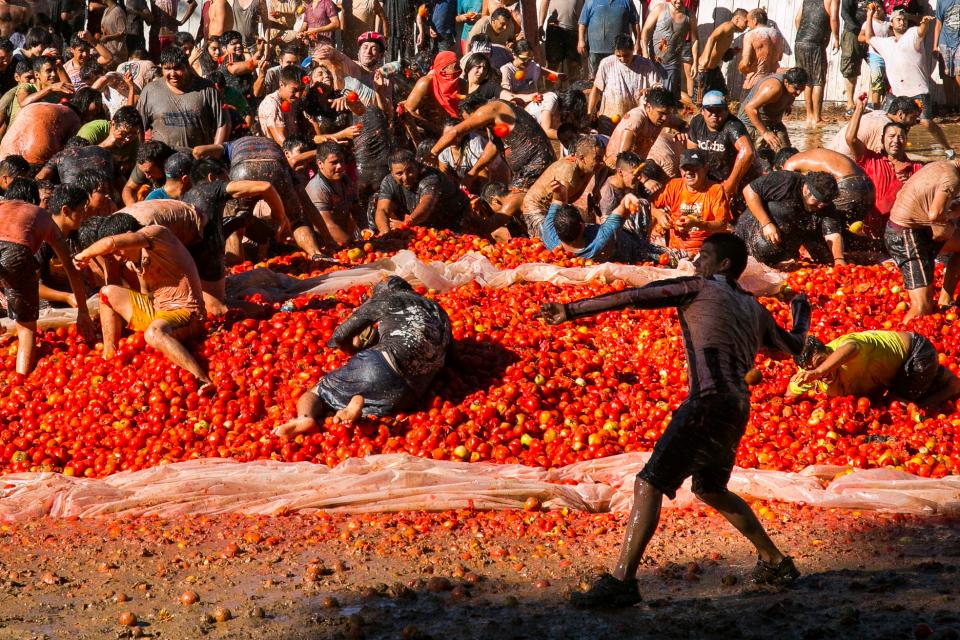 Thả ga ném 100 tấn cà chua trong lễ hội đỏ nhất Chile - 1