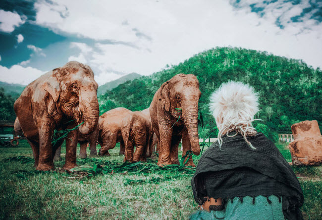 Gailė Juknytė và nhóm bạn của cô đã quyết định trở thành tình nguyện viên chăm sóc động vật trong Công viên voi tại tỉnh Chiang Mai ở Thái Lan như một cách để họ khám phá thiên nhiên và con người địa phương.