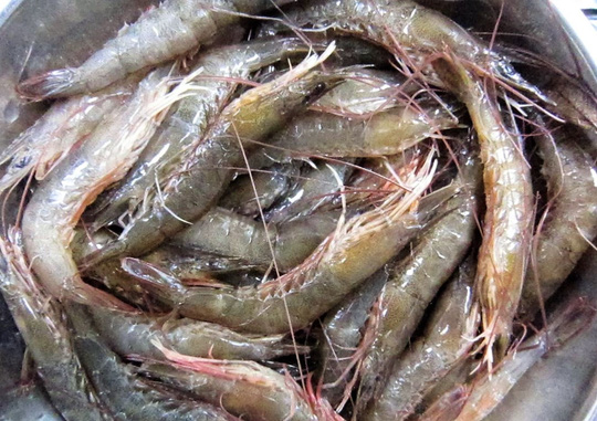 Tôm rim nước dừa: Vét cơm chứ chẳng chơi! - 2