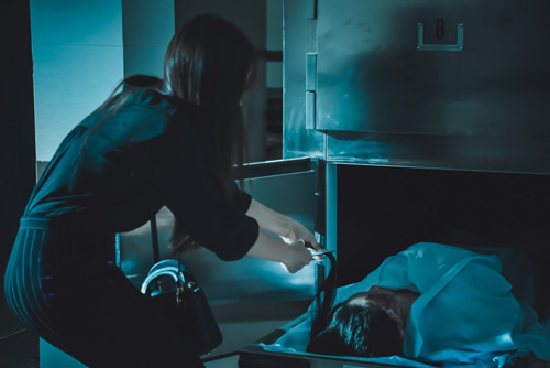 Phim "Linh duyên": Hướng rẽ liều lĩnh trước giờ G của nhà sản xuất Hình nhân - 2