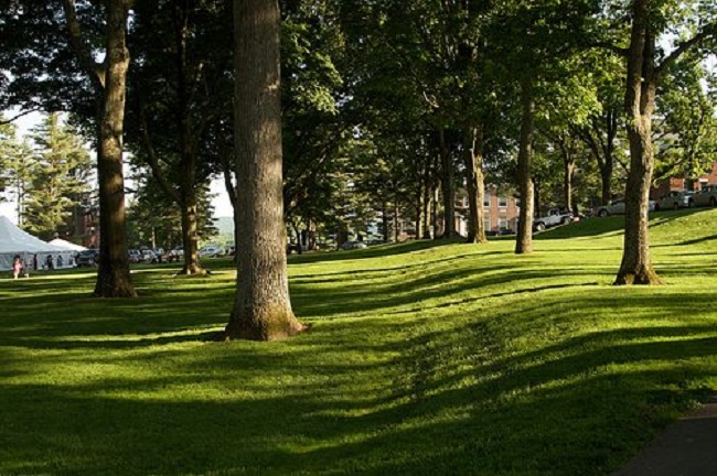 25. Đại học Amherst: Không chỉ là một trong những ngôi trường đẹp nhất nước Mỹ, sinh viên ở đây luôn đủ điều kiện để theo học tại các ngôi trường đại học tuyệt đẹp khác như Đại học Mount Holyoke, Đại học Smith, Đại học Hampshire, và Đại học Massachusetts mà không cần phải bổ sung thêm bất cứ khoản chi phí nào.