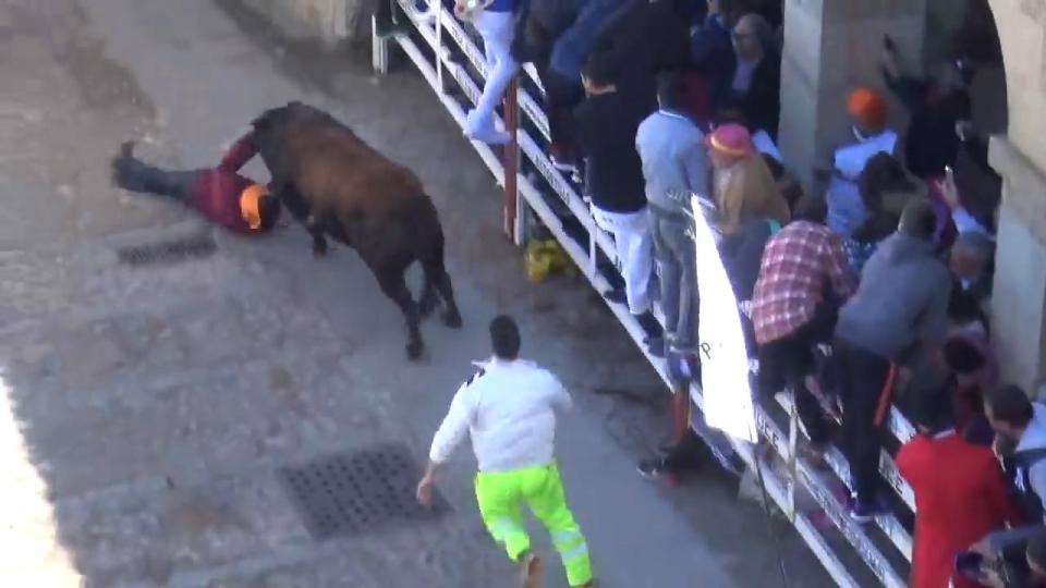 Thủng nội tạng trong lễ hội chạy với bò tót ở Tây Ban Nha - 1