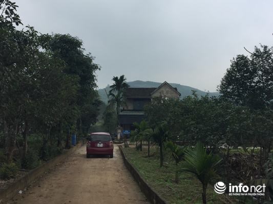 Chuyện về người thương binh “phá núi, bạt rừng” kiếm tiền tỉ mỗi năm - 3