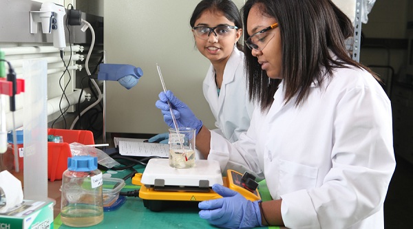 Những ngành học "có giá" nhất sau khi ra trường ở Mỹ - 8