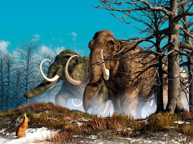 Tiết lộ lý do thực sự khiến loài voi ma mút tuyệt chủng - 1