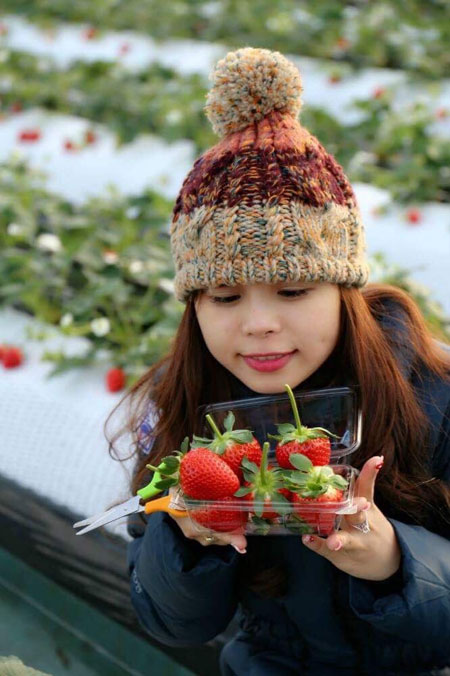 Khám phá TOCHIGI –NHẬT BẢN TOUR  cùng Sông Hàn Tourist - 5