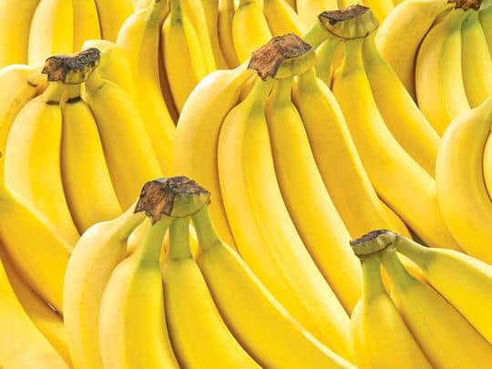 Những thực phẩm bị mang tiếng xấu nhưng rất tốt cho sức khỏe - 2