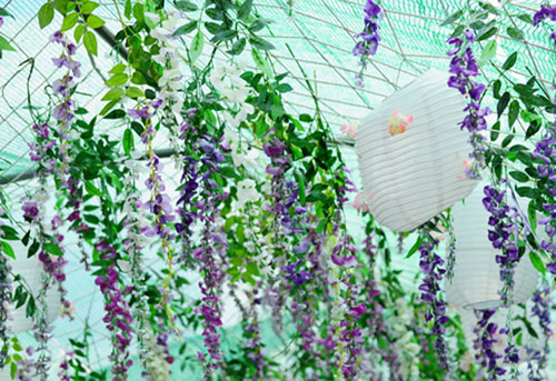 Sửng sốt với 3 lễ hội hoa được ví như "thảm họa mua hàng online" - 8