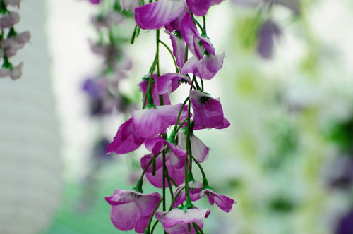 Sửng sốt với 3 lễ hội hoa được ví như "thảm họa mua hàng online" - 9