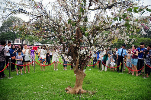 Sửng sốt với 3 lễ hội hoa được ví như "thảm họa mua hàng online" - 11