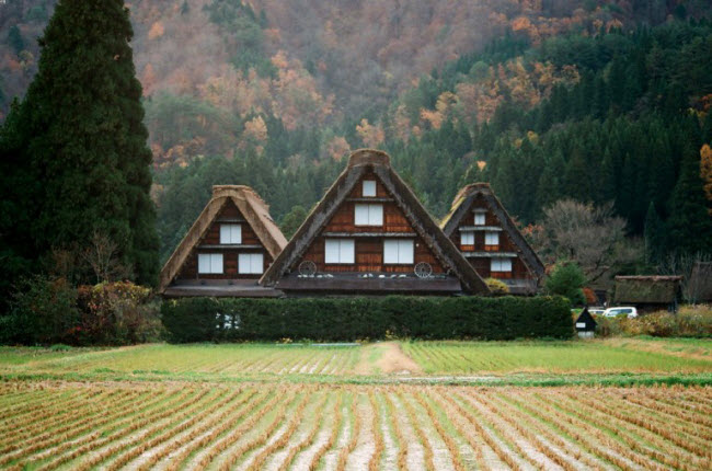 Ngôi làng Shirakawa-go có 4 mùa và mỗi mùa có vẻ đẹp đặc trưng khác nhau.