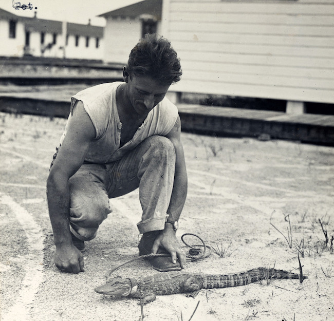 Những con vật có "vai vế" trong quân đội Mỹ Thế chiến I - 9