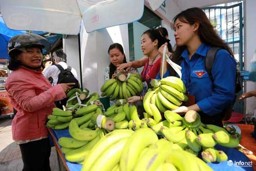 17.000 tấn chuối sắp chín, ai cứu? - 3