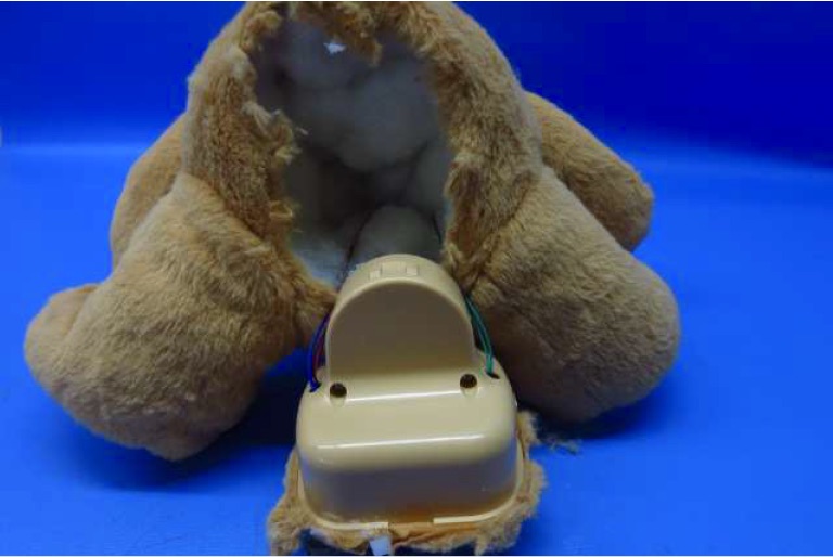 Mỹ: Gấu bông làm lộ thông tin hàng triệu người - 3