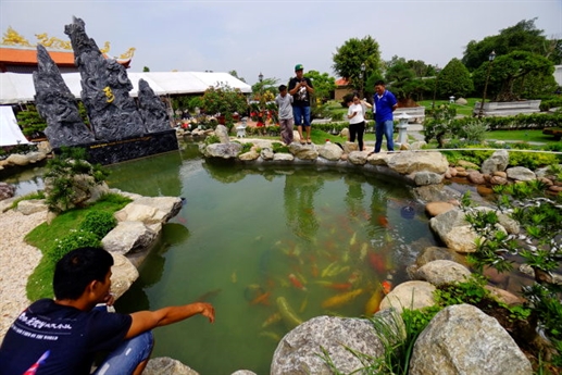 Bất ngờ đàn cá đặt tên Hoài Linh, Trấn Thành, Mr Đàm - 2