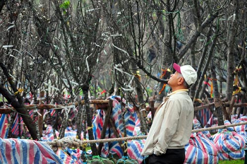 Chiêm ngưỡng “sứ giả” xinh đẹp của Nhật Bản tại Hà Nội - 10