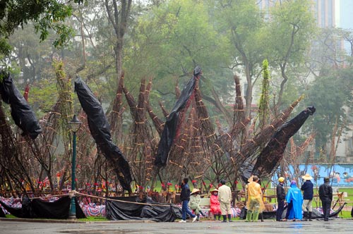 Chiêm ngưỡng “sứ giả” xinh đẹp của Nhật Bản tại Hà Nội - 14