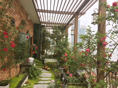 Không cần quà 8/3 vì có cả vườn hồng đẹp như mơ - 2