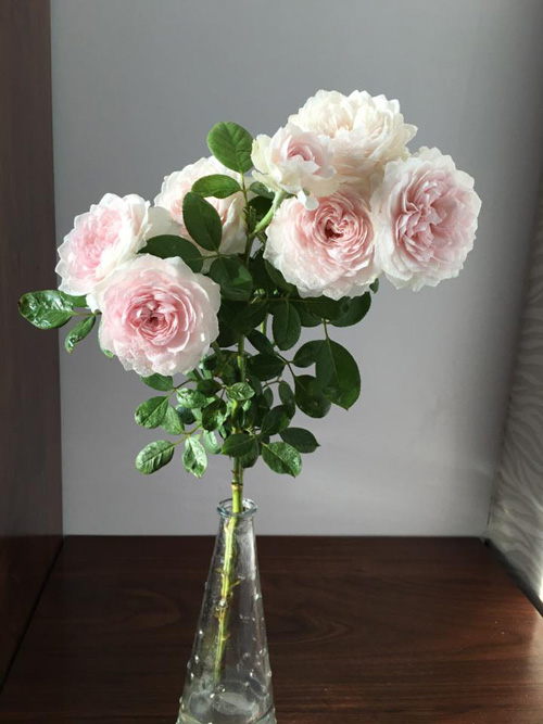 Học bà mẹ Hà thành cắm hoa cực đẹp cho ngày 8/3 - 6