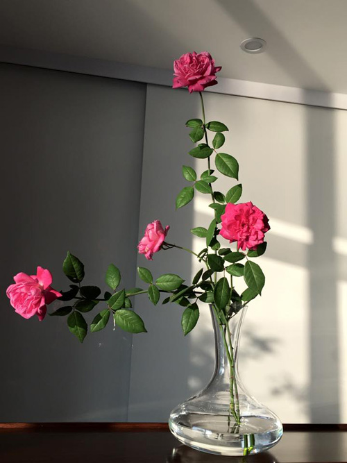 Học bà mẹ Hà thành cắm hoa cực đẹp cho ngày 8/3 - 8